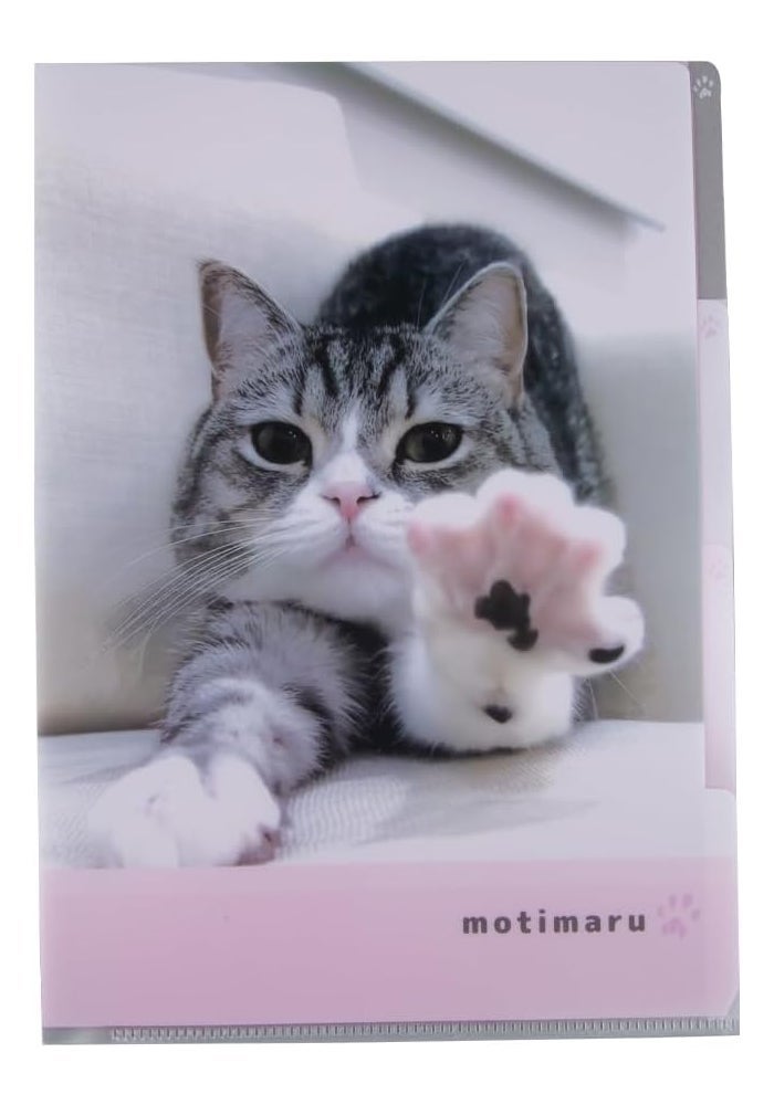 Daiso A4 Motimaru Clear Folder with 3 Pockets - Pink - Image 2